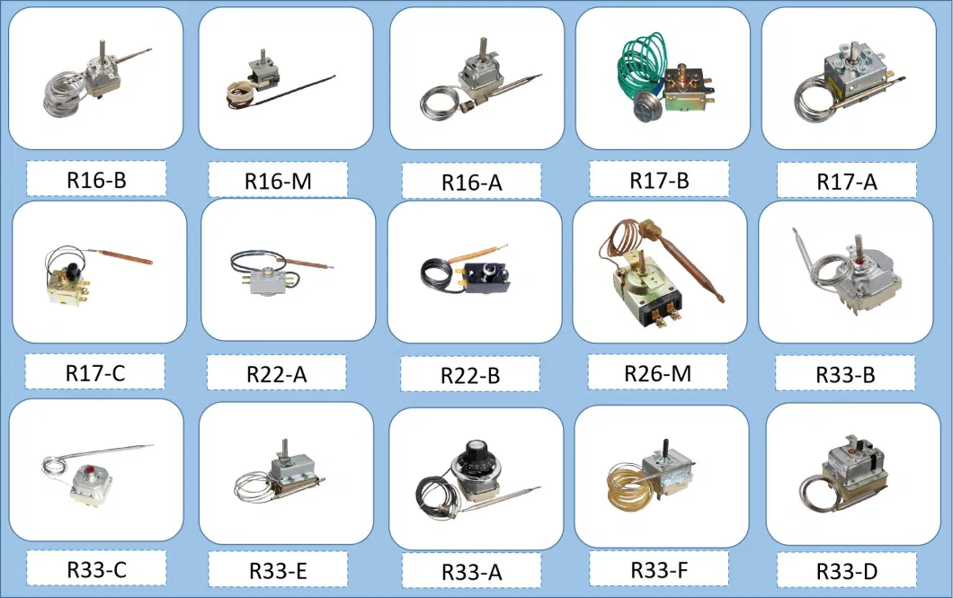 Rule Wk-R11s Series Capillary Thermostat for Heater, Fry Pot and Oven Factory Supply Stove Thermostat